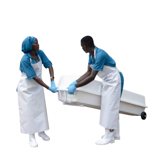 Body handling
