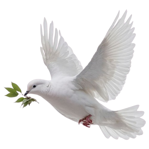 dove